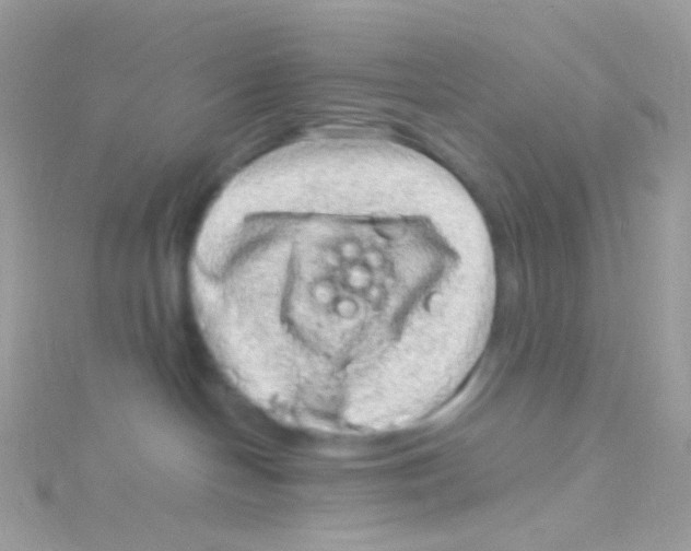 X0000115060094200911231224