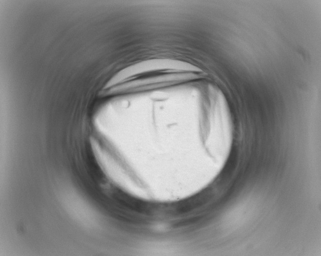 X0000115060095200911231224