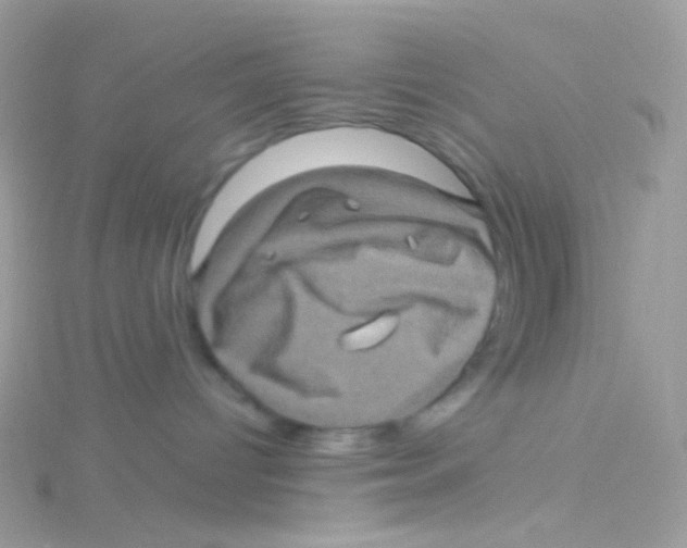 X0000115060096200911231224