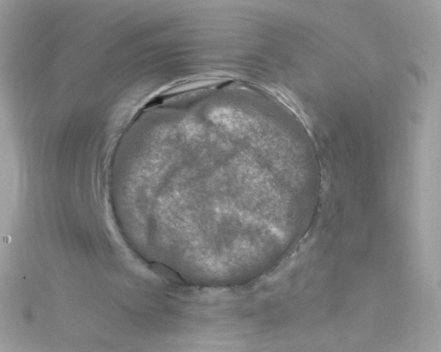 X0000115060097200911231223