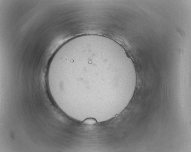 X0000115060098200911231223