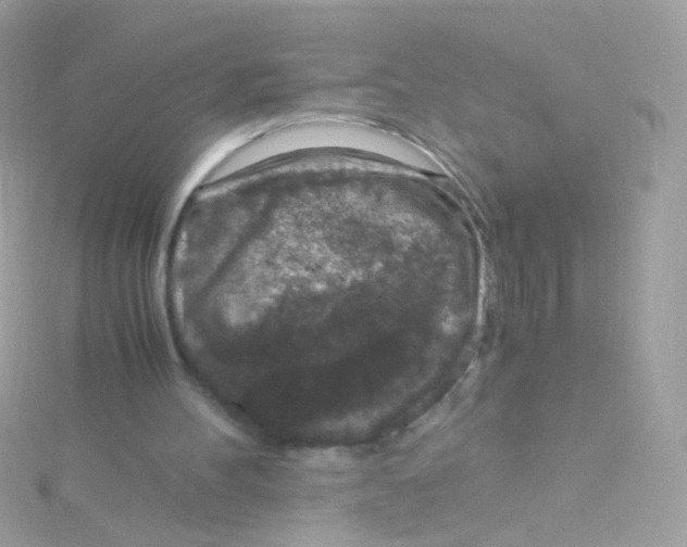 X0000115060100200911231223