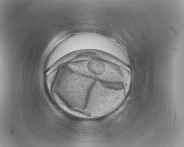 X0000115060101200911231223