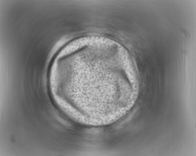 X0000115060102200911231223