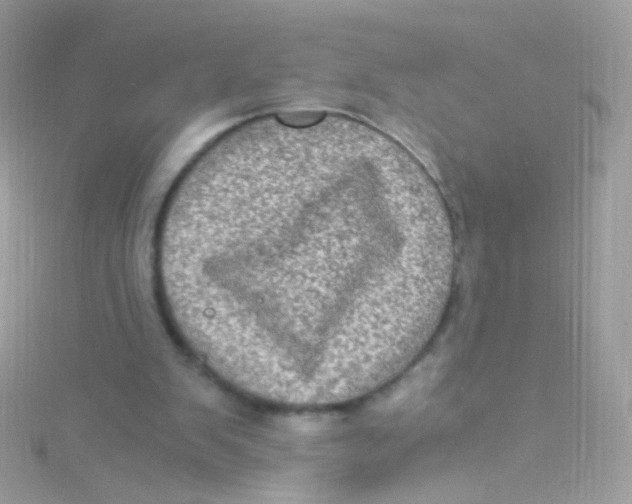 X0000115060103200911231223