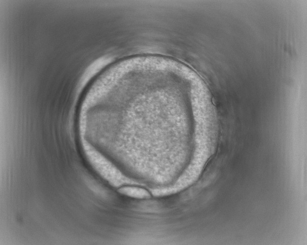 X0000115060104200911231223