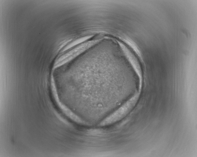 X0000115060105200911231223