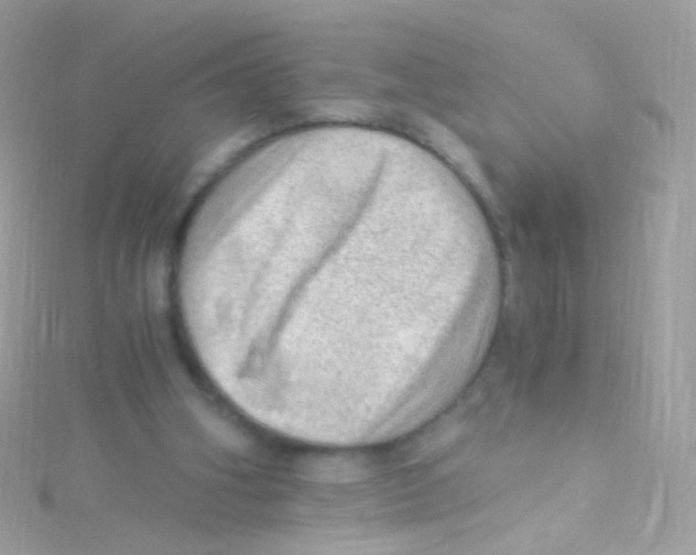 X0000115060106200911231223