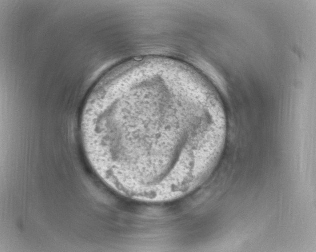 X0000115060107200911231223