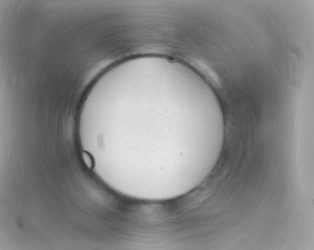 X0000115060108200911231223