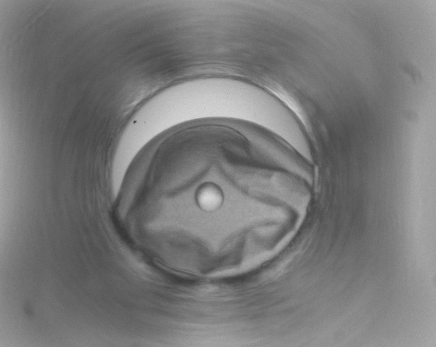 X0000115060109200911231223