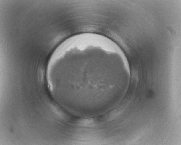 X0000115060110200911231223