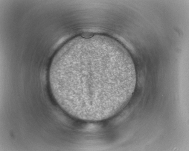 X0000115060111200911231223