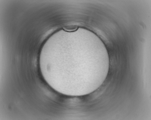 X0000115060112200911231223