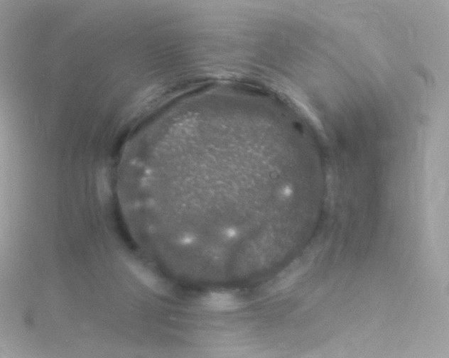 X0000115060114200911231223