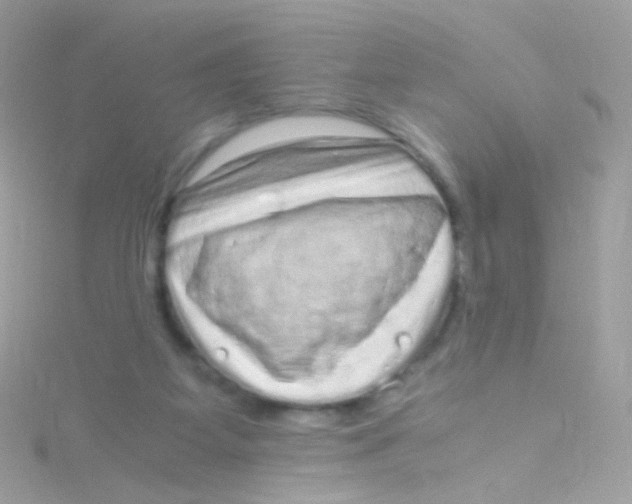 X0000115060115200911231223