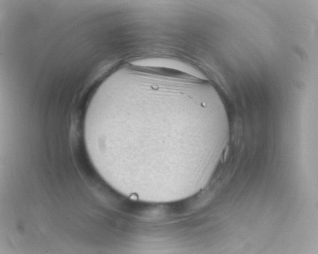 X0000115060116200911231223