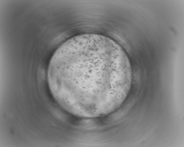 X0000115060117200911231223