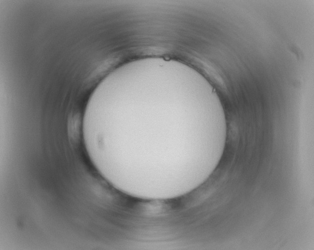 X0000115060118200911231223