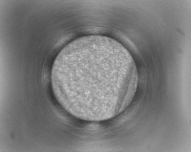 X0000115060119200911231223