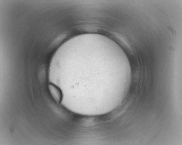 X0000115060120200911231223