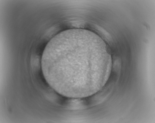 X0000115060121200911231223