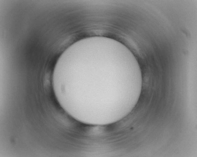 X0000115060122200911231223