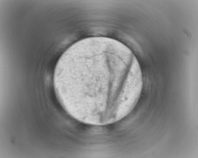 X0000115060123200911231223