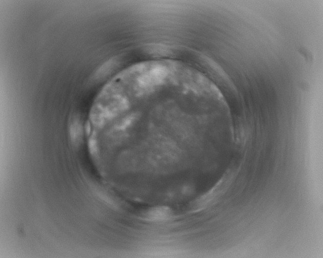 X0000115060124200911231223