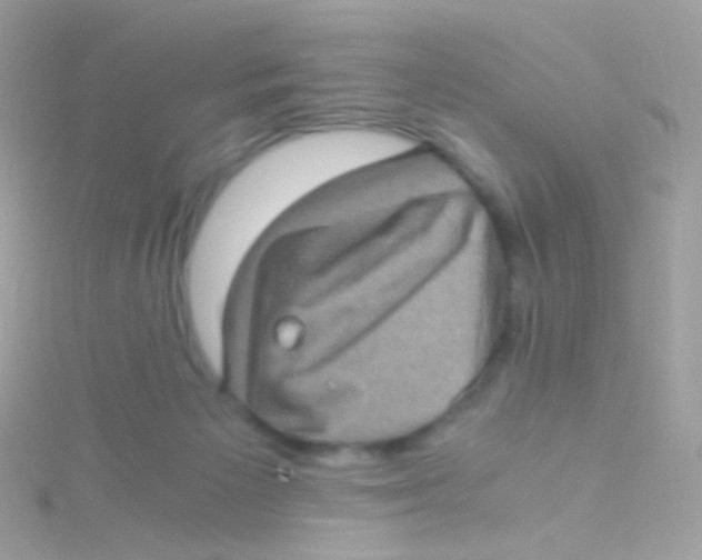 X0000115060125200911231223