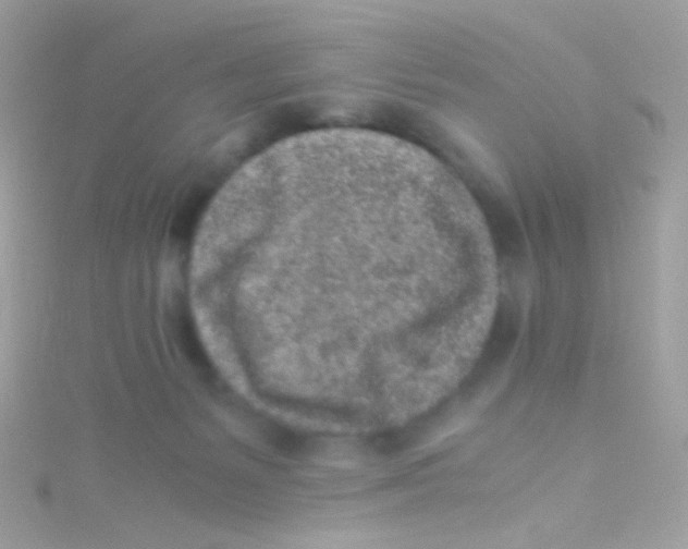 X0000115060127200911231223