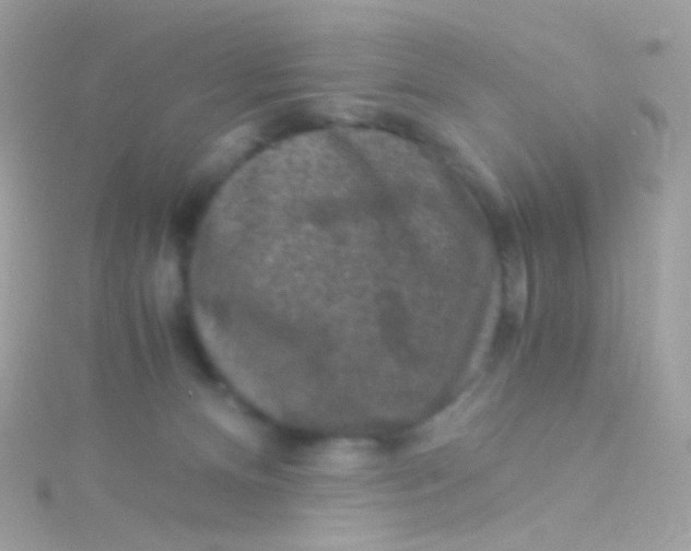 X0000115060128200911231223