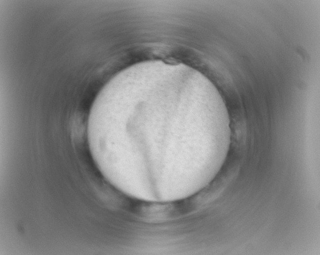 X0000115060129200911231223