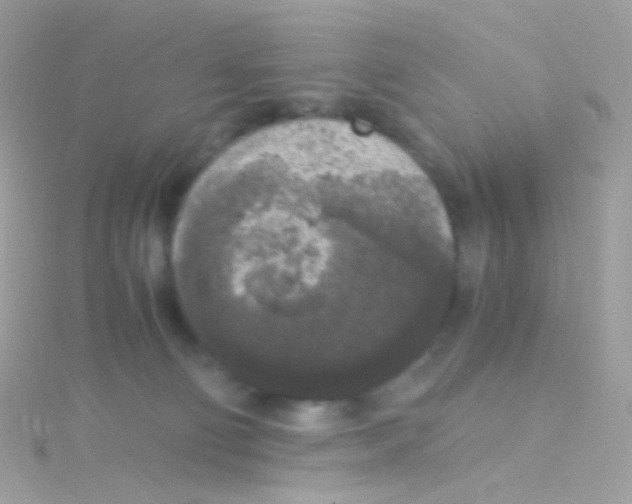 X0000115060130200911231223