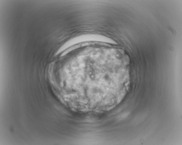 X0000115060131200911231223