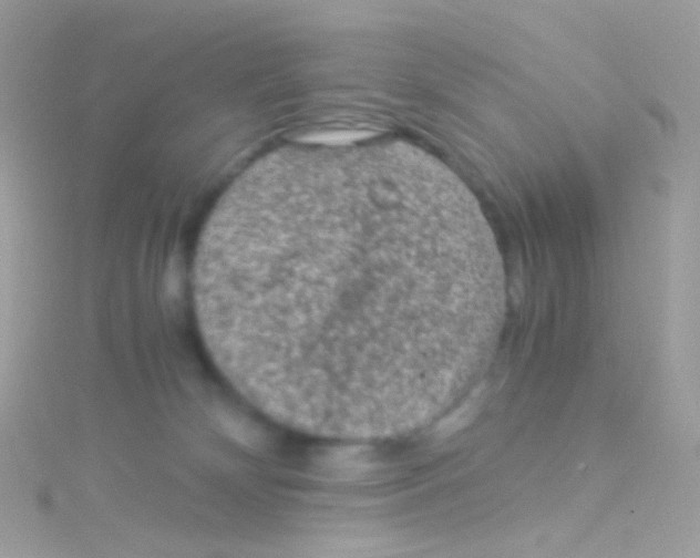 X0000115060132200911231223