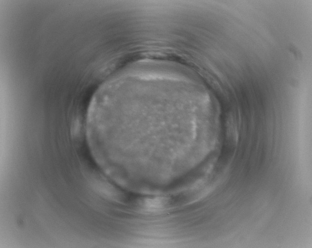 X0000115060134200911231223