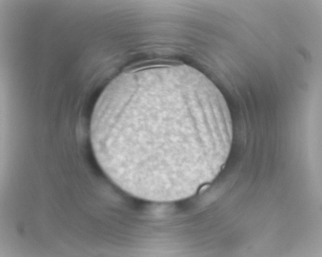 X0000115060135200911231223