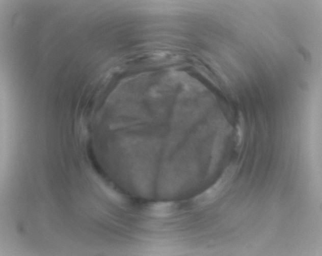 X0000115060136200911231223