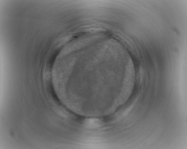 X0000115060137200911231223