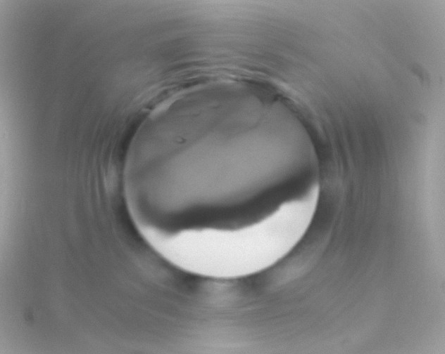 X0000115060139200911231223