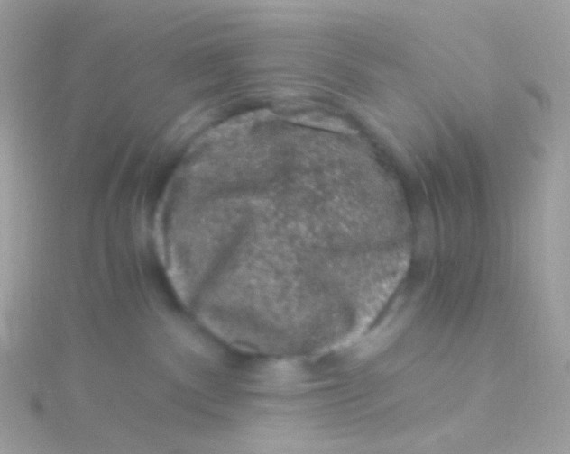 X0000115060140200911231223