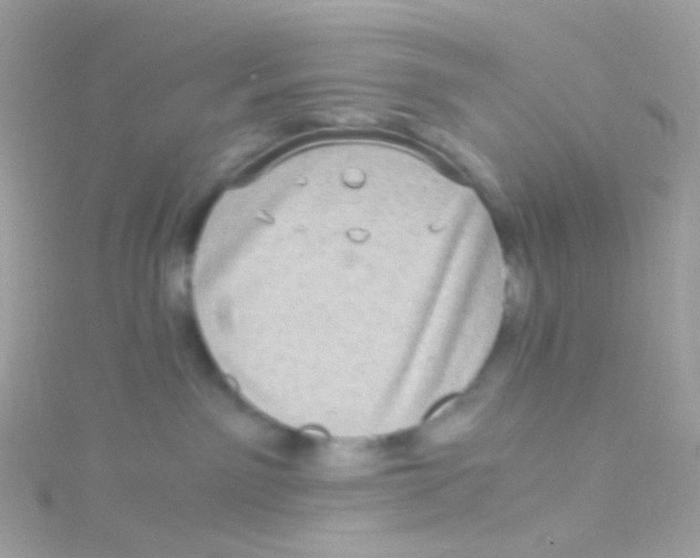 X0000115060141200911231223