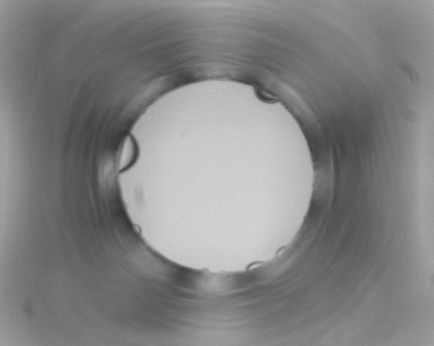 X0000115060142200911231223