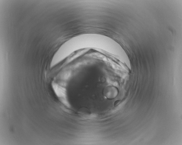 X0000115060143200911231223