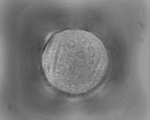 X0000115060144200911231223