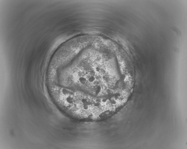 X0000115060145200911231222