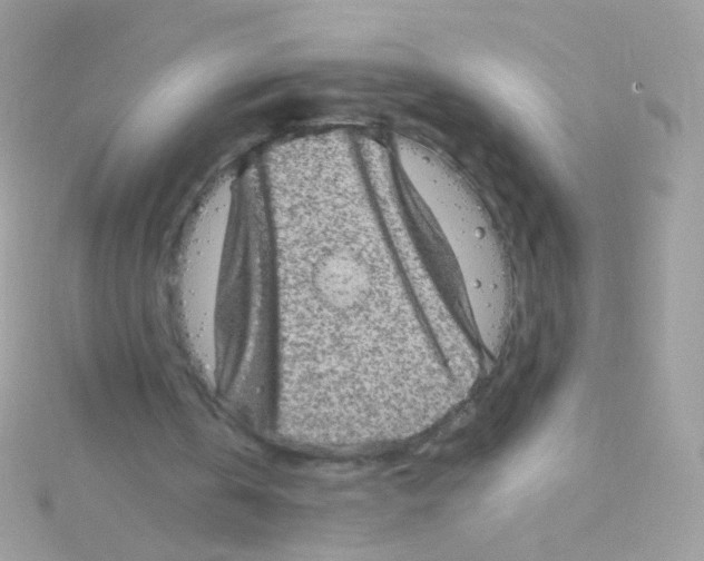 X0000115060146200911231222