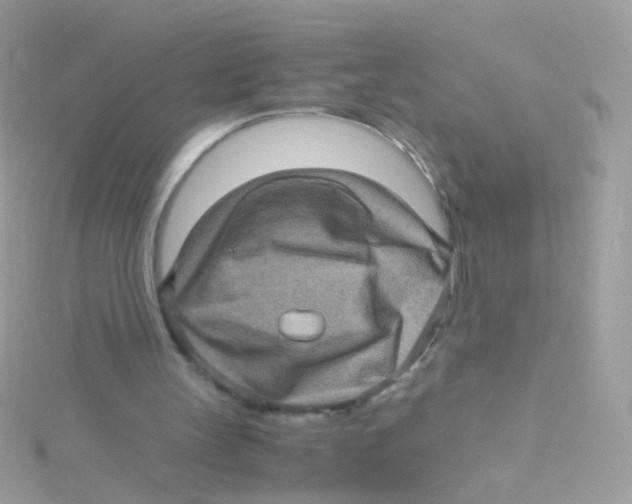 X0000115060147200911231222