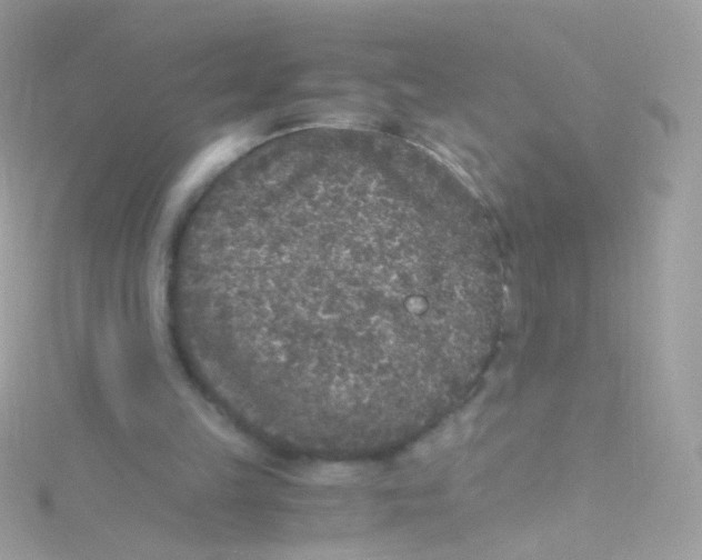 X0000115060149200911231222